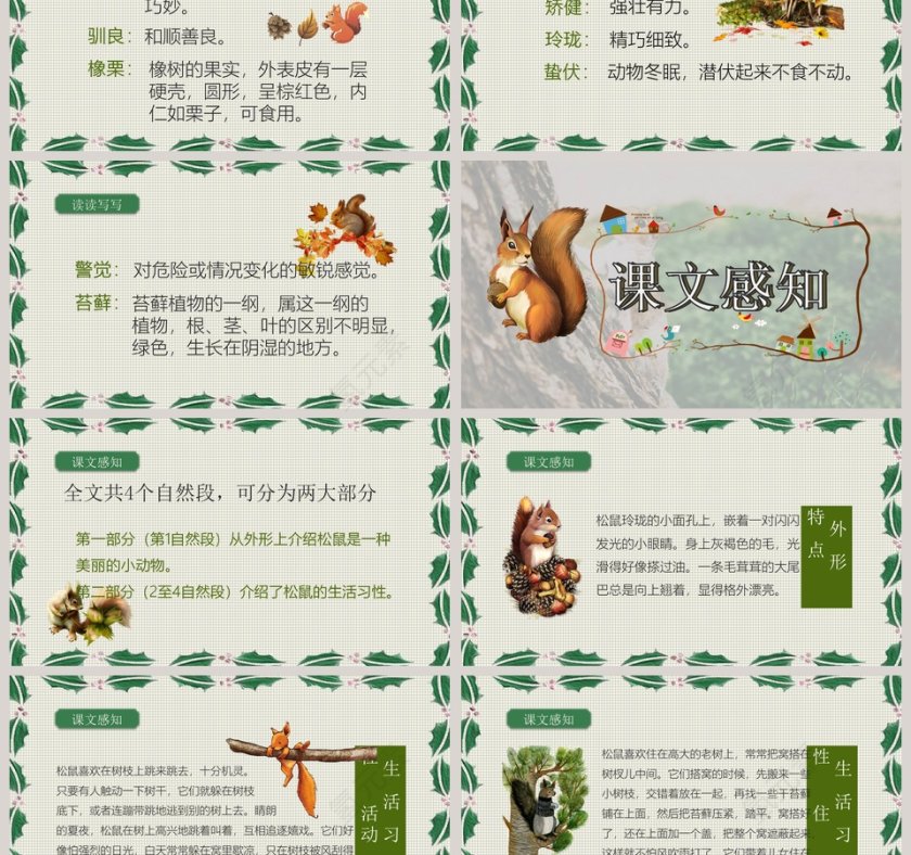 五年级语文课件PPT松鼠第3张