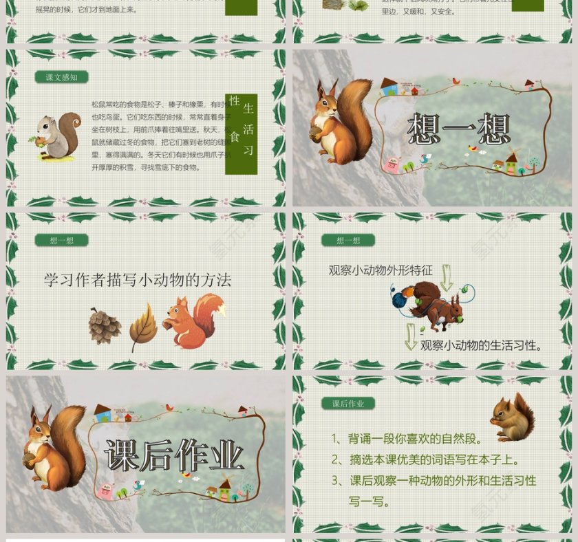五年级语文课件PPT松鼠第4张