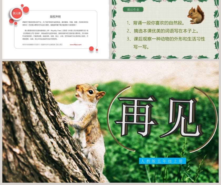 五年级语文课件PPT松鼠第5张