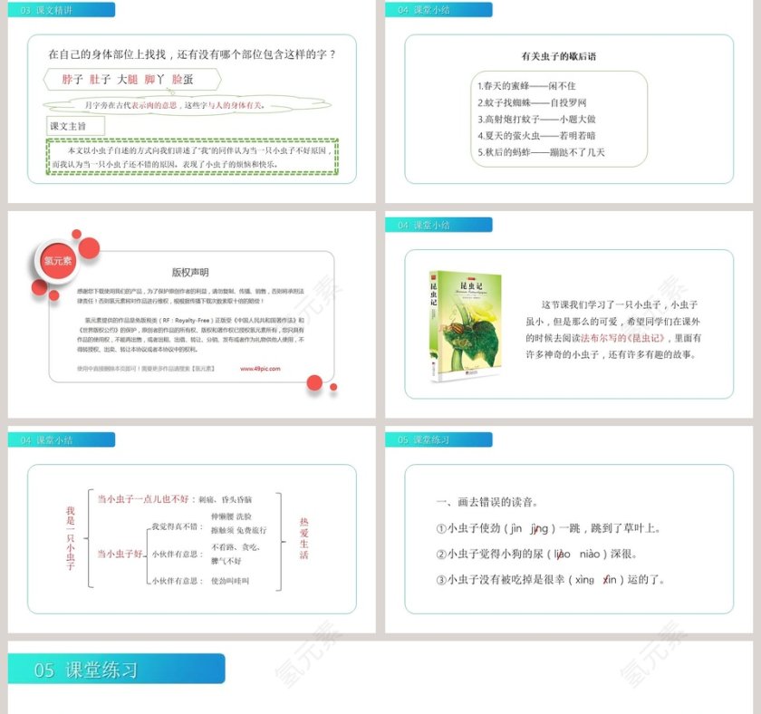部编版二年级语文下册我是一只小虫子语文课件PPT第5张