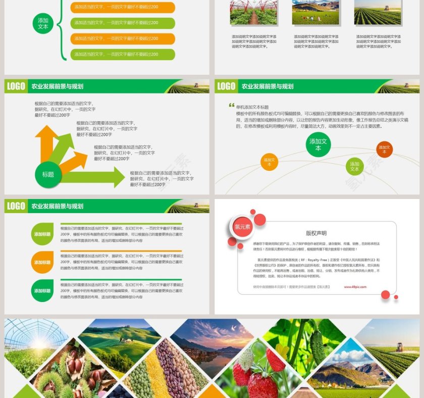农业招商农产品宣传PPT模板第6张