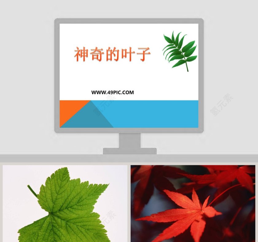 教学ppt课件第1张