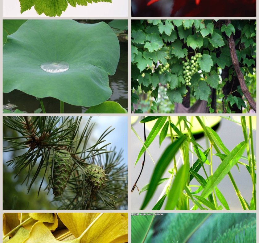 教学ppt课件第2张