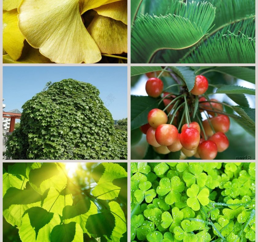 教学ppt课件第3张