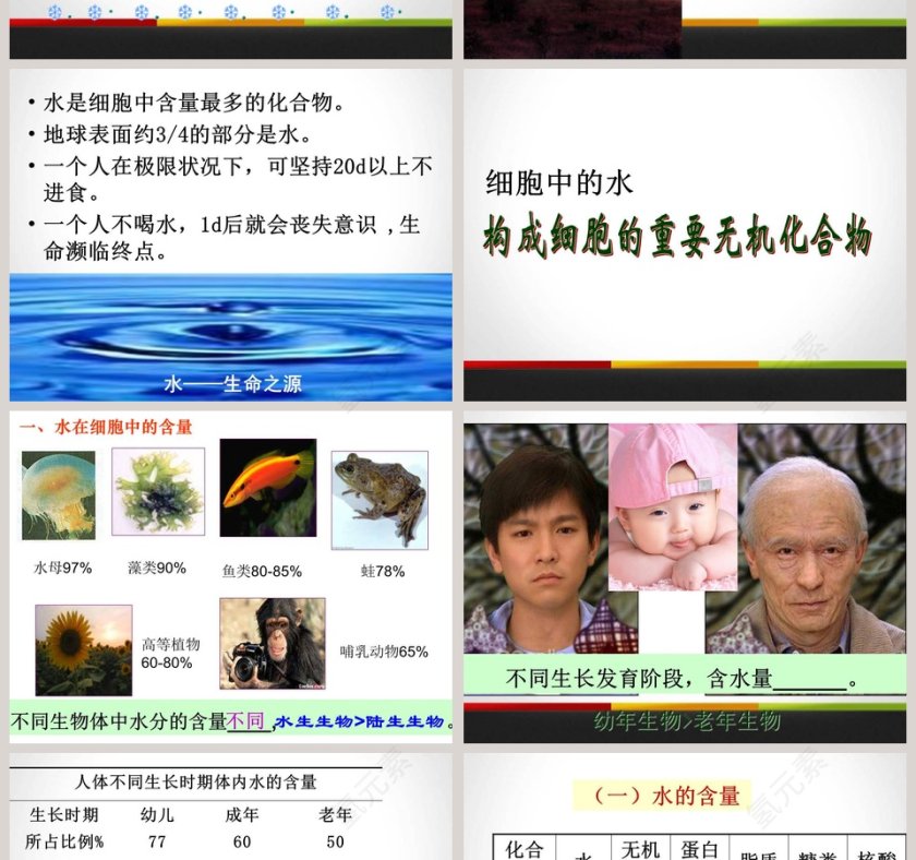 第-5教学ppt课件第2张