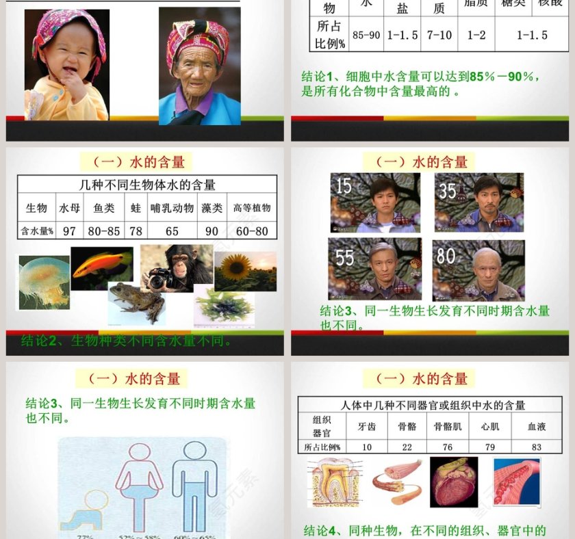 第-5教学ppt课件第3张