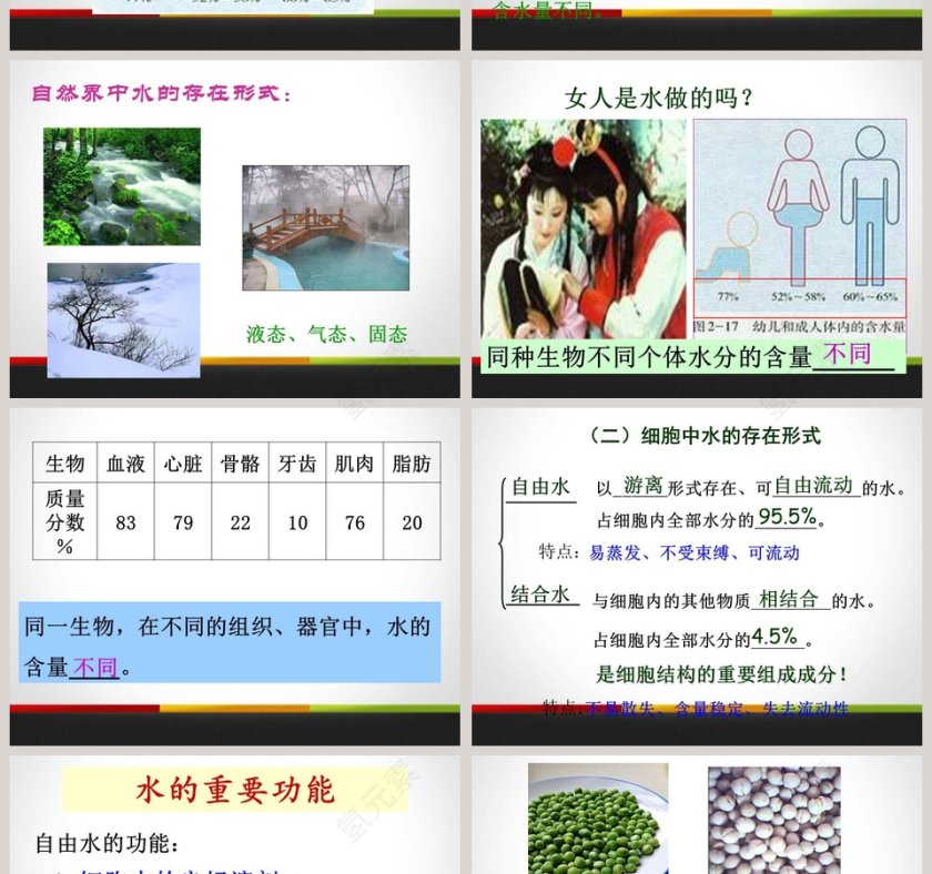 第-5教学ppt课件第4张