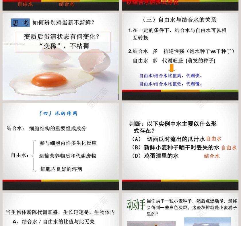 第-5教学ppt课件第6张