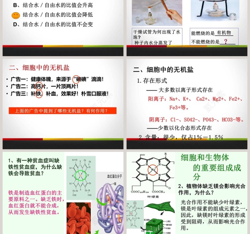 第-5教学ppt课件第7张