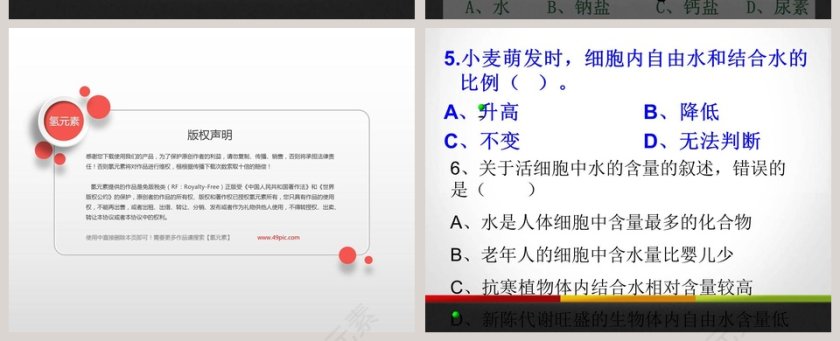 第-5教学ppt课件第10张