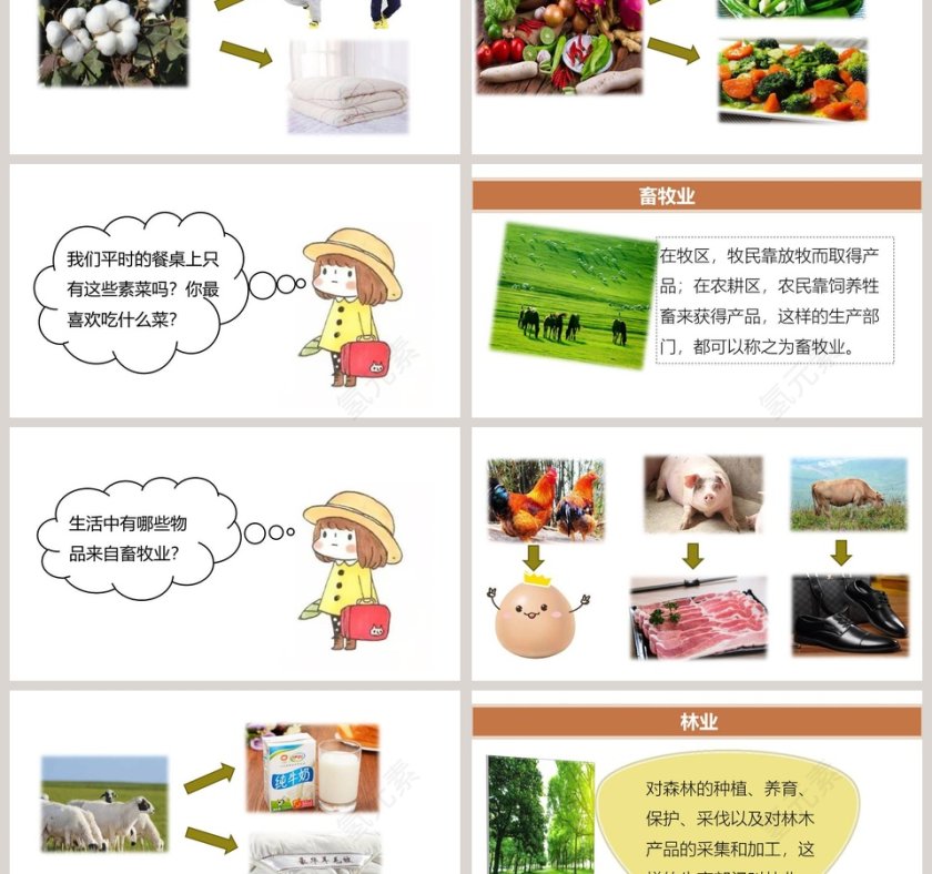 第七课  我们的衣食之源教学ppt课件第3张