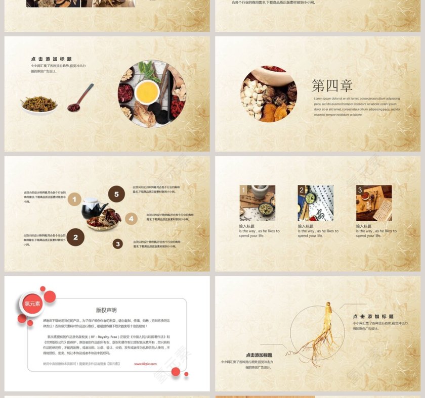 养生文化健康养生合理饮食PPT 第4张