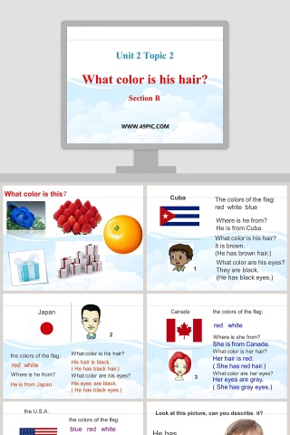 Unit 2 Topic 2-What color is his hair教学ppt课件