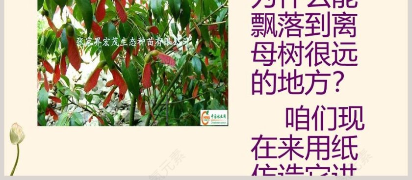 4-它是怎样运动的教学ppt课件第4张