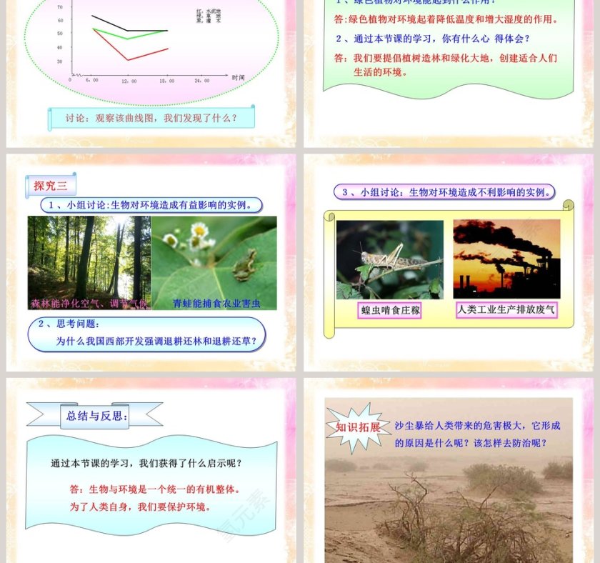 生物与环境的相互影响 PPT 模板第3张