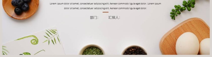 工作总结工作汇报PPT第5张