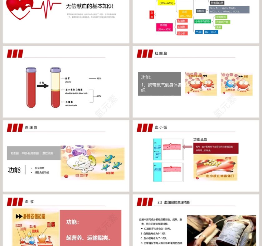简约大气世界献血者日宣传PPT模板第3张