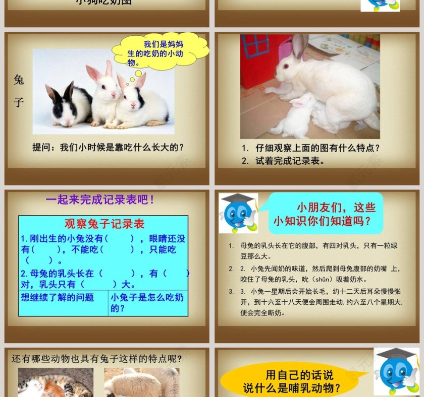 第-2教学ppt课件第2张