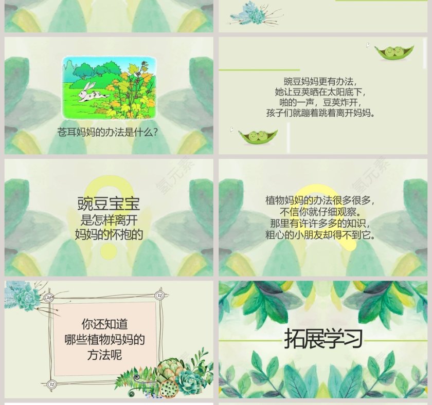 植物妈妈有办法语文教学PPT课件第4张