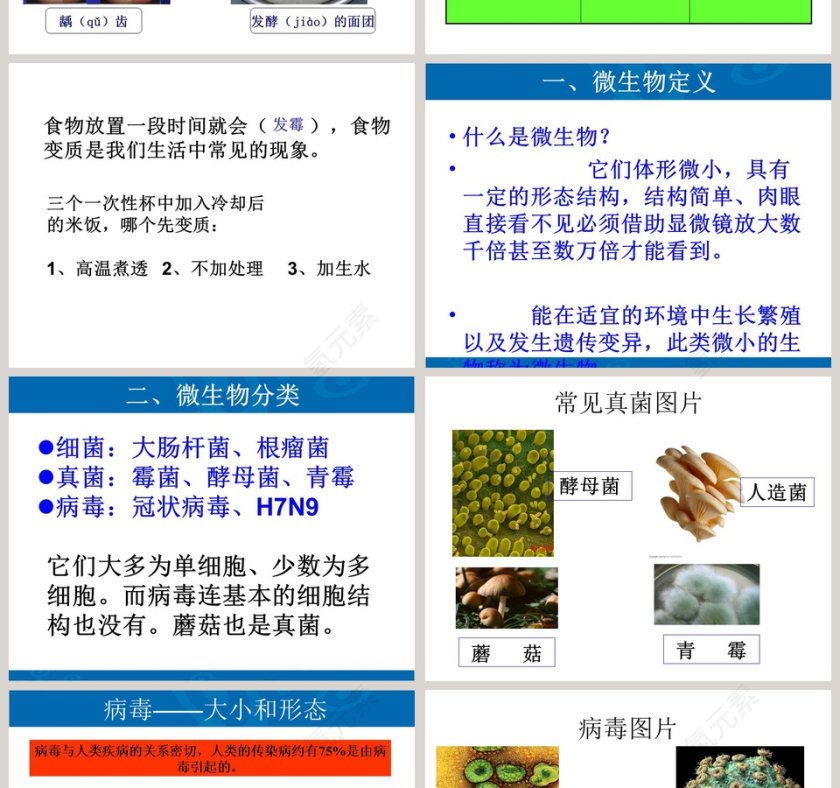 无处不在的微生物：医学护理行业PPT模板第2张