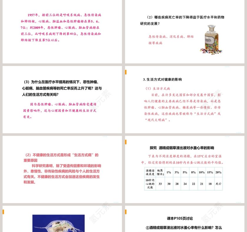 第二节 选择健康的生活方式 PPT模板第2张