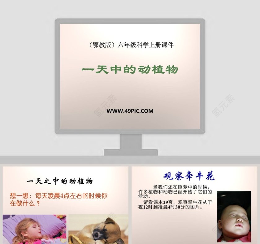 一天中的动植物与PPT模板设计第1张
