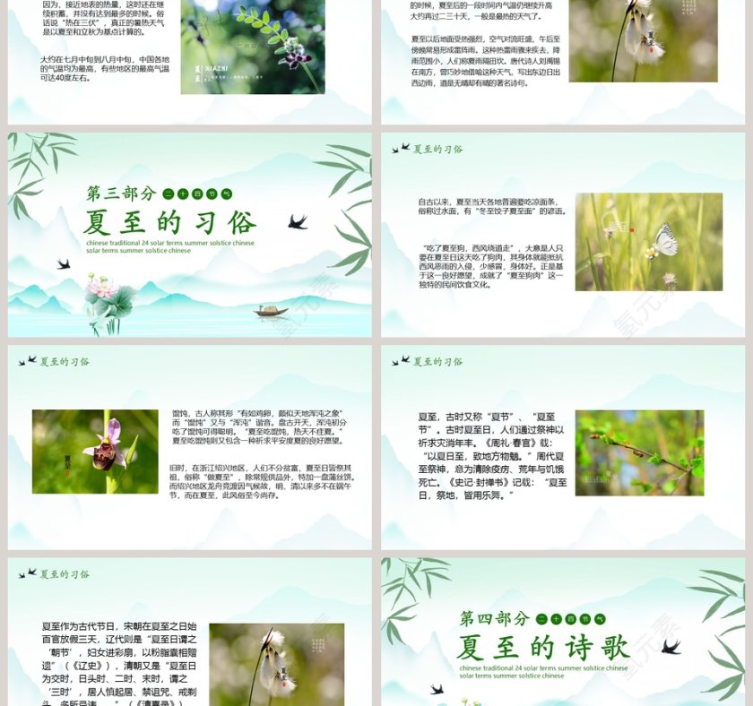 清新荷叶中国传统二十四节气夏至PPT模板第3张