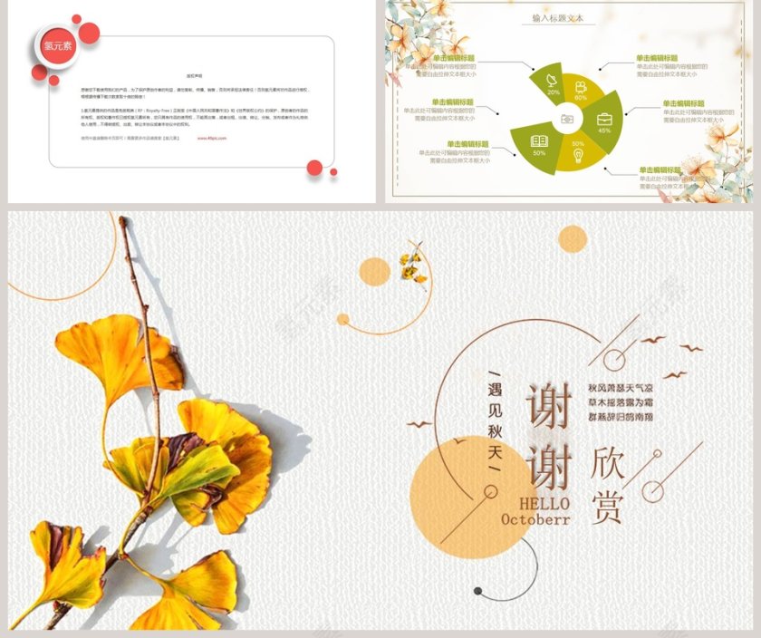 遇见秋天简约唯美计划总结PPT模板第5张