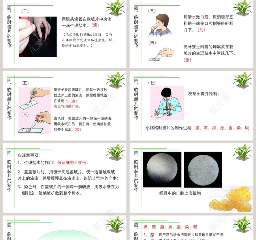 第-3教学ppt课件第5张