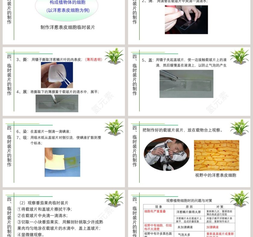 第-3教学ppt课件第6张