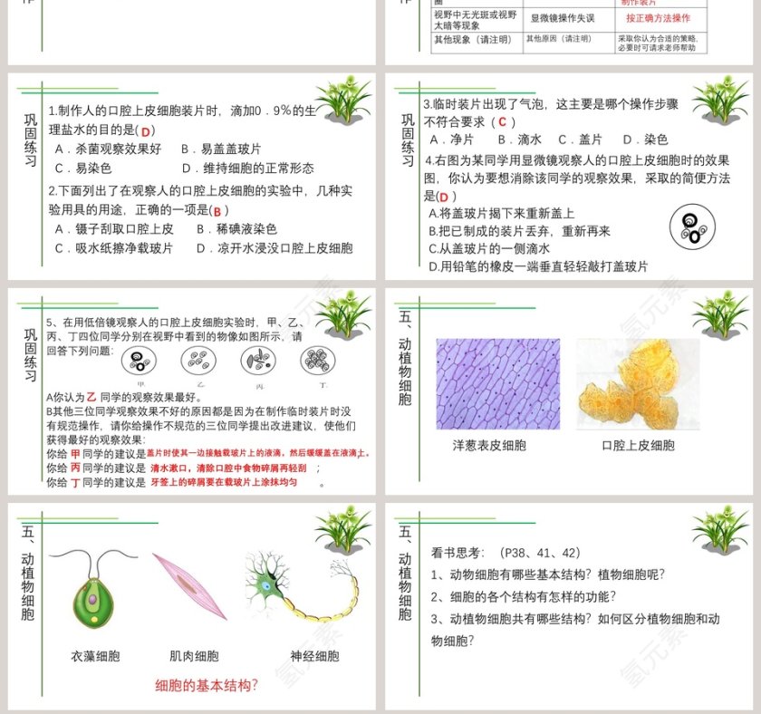 第-3教学ppt课件第7张