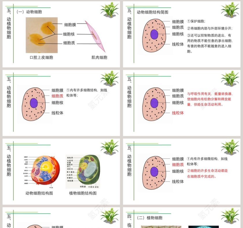 第-3教学ppt课件第8张