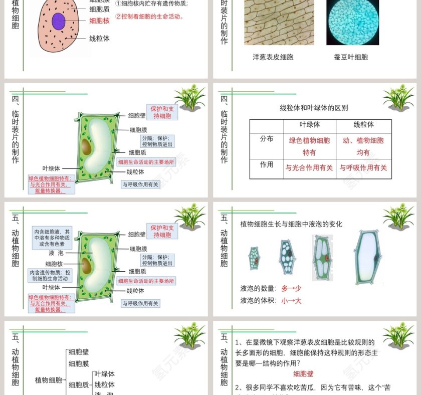 第-3教学ppt课件第9张