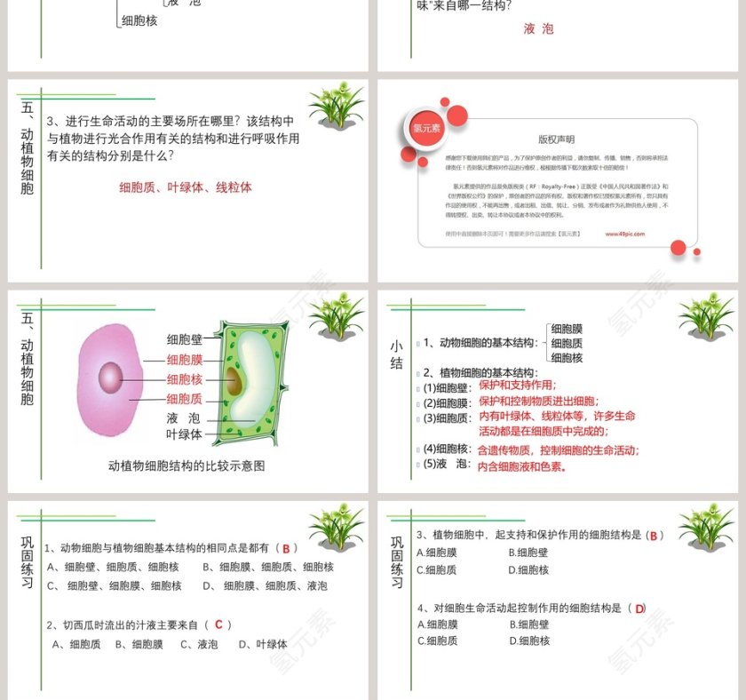 第-3教学ppt课件第10张