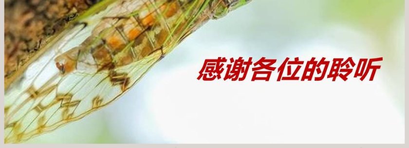 部编版八年级上册语文蝉语文课件PPT第4张