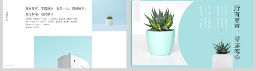 小清新旅游相册PPT模板第5张