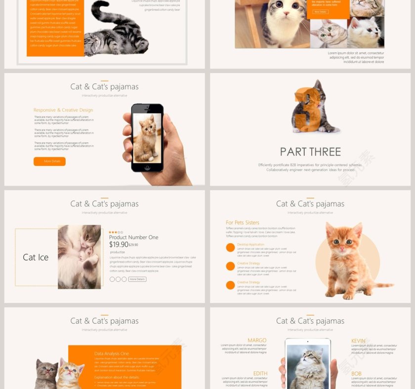 猫咪宠物可爱趣味模板ppt第3张