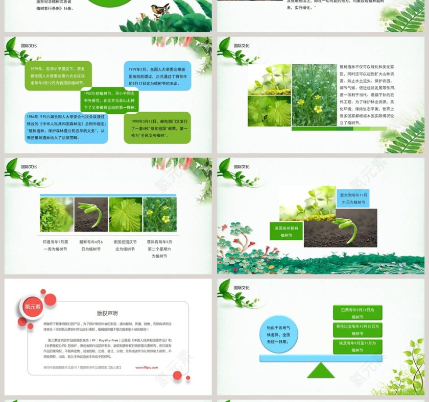 植树造林  共建美好环境植树节节日ppt模板第4张