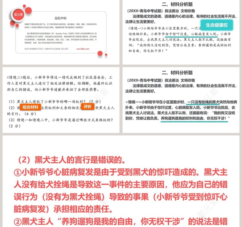 依法行使权利的政务党建PPT模板展示第5张