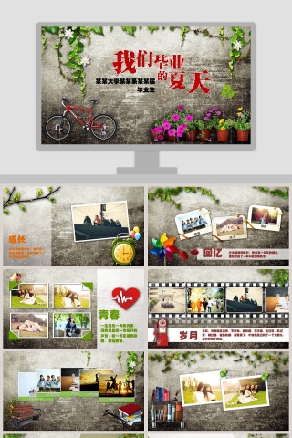 我们毕业的夏天PPT