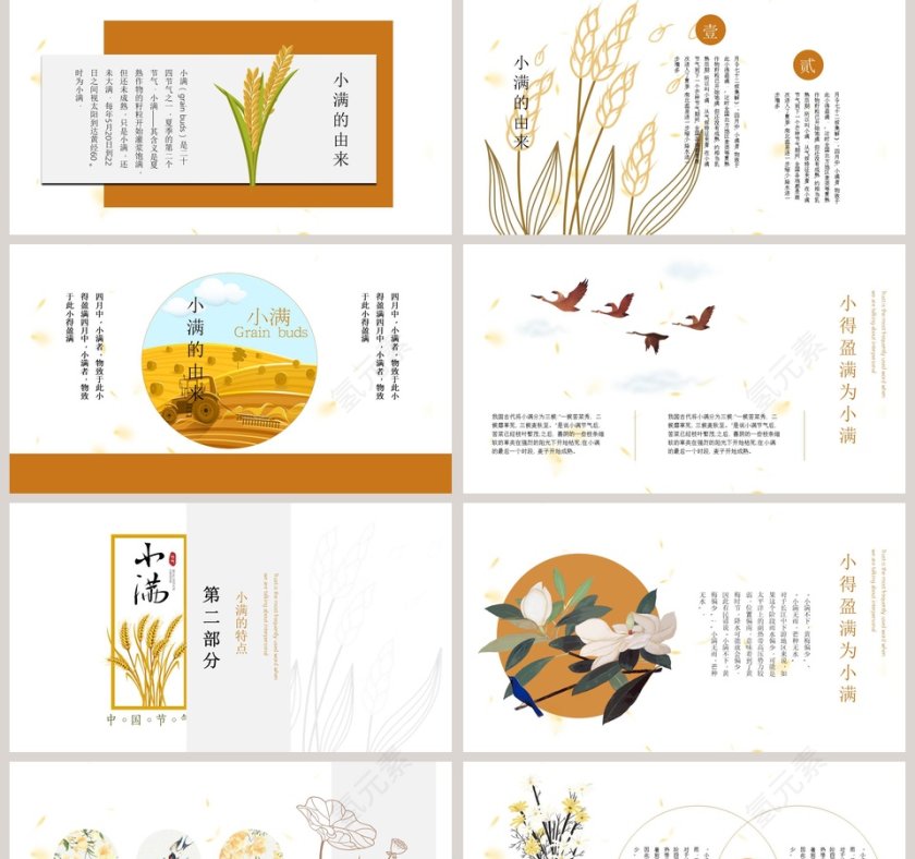 简约风二十四节气小满介绍PPT模板第2张