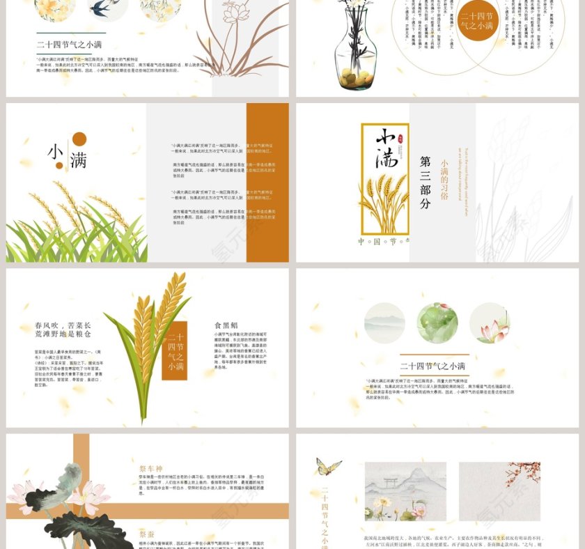 简约风二十四节气小满介绍PPT模板第3张