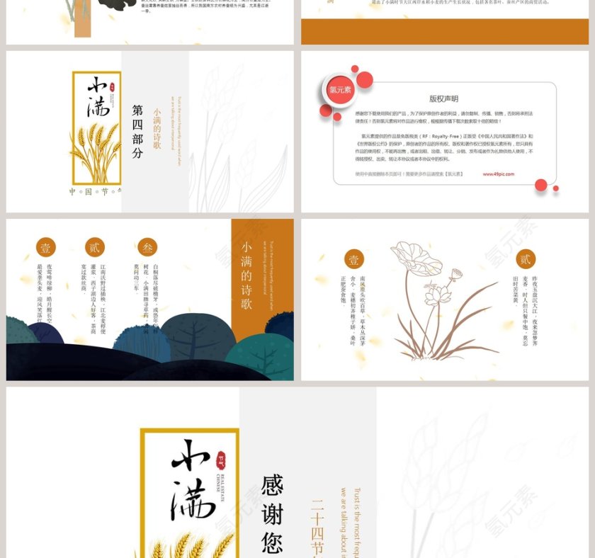简约风二十四节气小满介绍PPT模板第4张