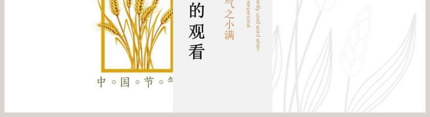简约风二十四节气小满介绍PPT模板第5张