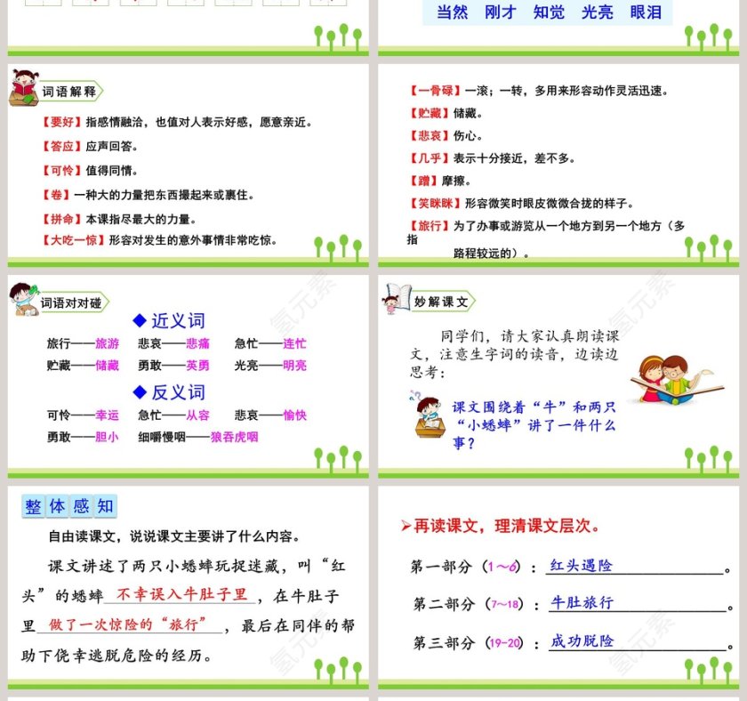 课文解析三年级语文上册在牛肚子里旅行语文课件PPT第4张