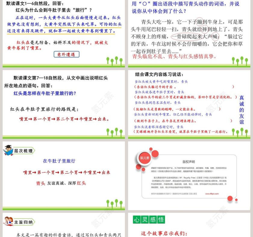 课文解析三年级语文上册在牛肚子里旅行语文课件PPT第5张
