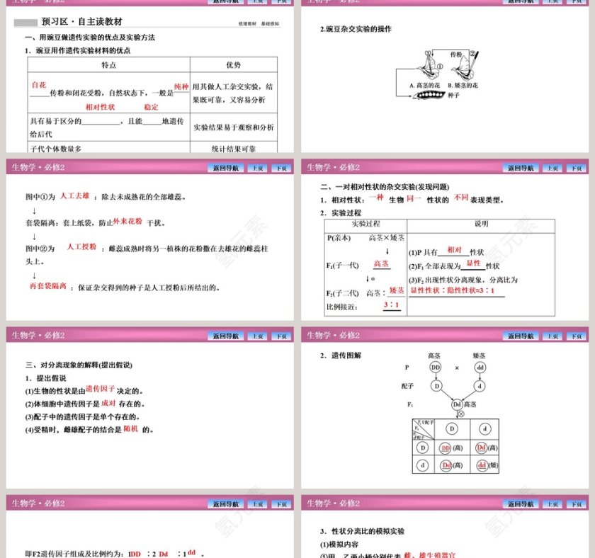 第-1教学ppt课件第2张