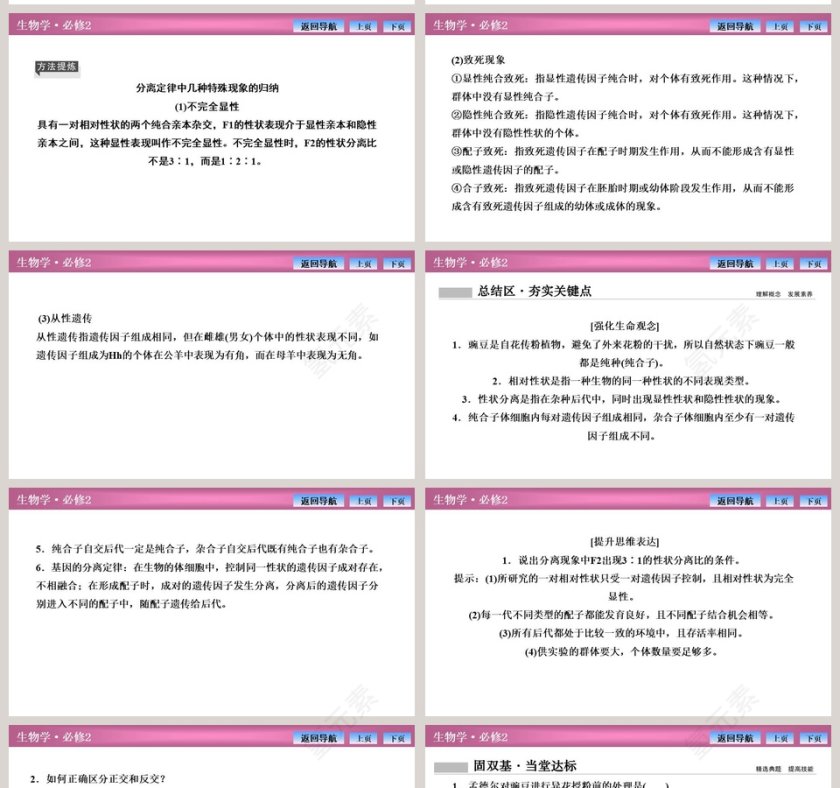 第-1教学ppt课件第11张