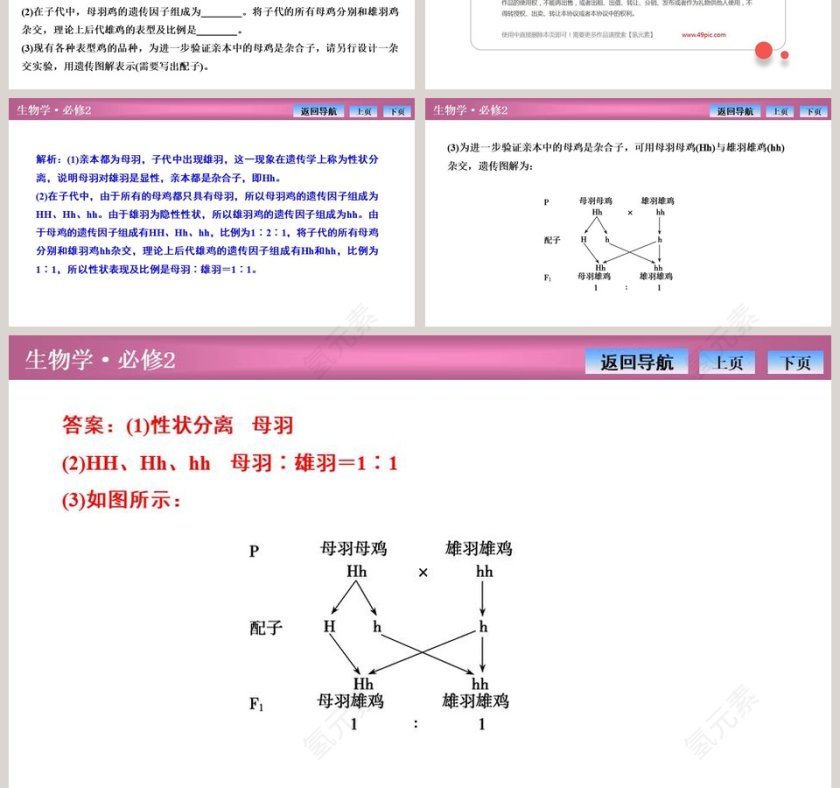 第-1教学ppt课件第13张