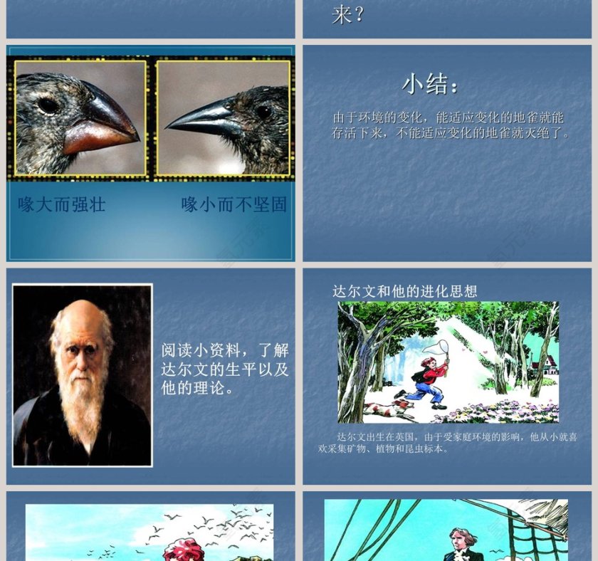 谁能生存下来-鄂教版教学ppt课件第2张